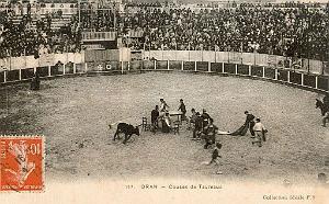 Oran- Arenes-  Gambetta 03